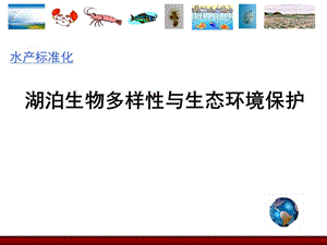 湖泊生物多样性与生态环境保护.ppt