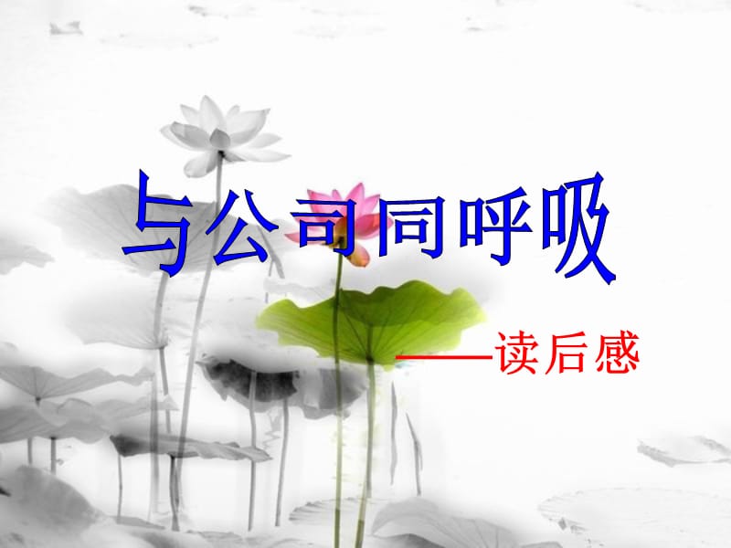 --读后感.ppt_第1页