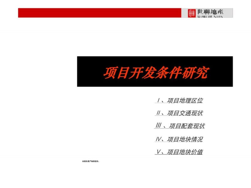 广州泰湖山庄项目商业投资计划书.ppt_第2页