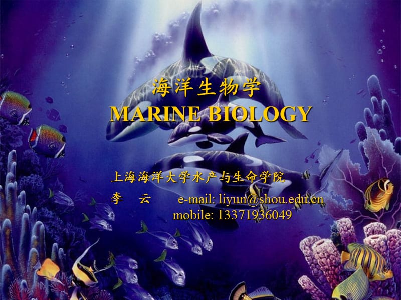 海洋生物学课件.ppt_第1页