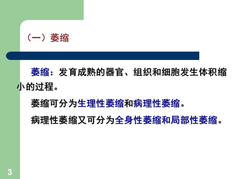 病理学基础 ppt课件.ppt_第3页