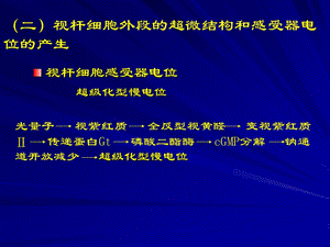 二视杆细胞外段的超微结构和感受器电位的产生.ppt