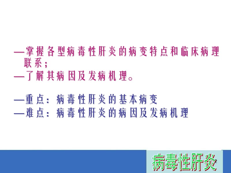 病毒性肝炎 ppt课件.ppt_第2页