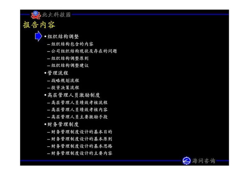海问投资咨询：北大科技园发展规划与融资项目(组织、流程、激励机制和财务制度）.ppt_第2页