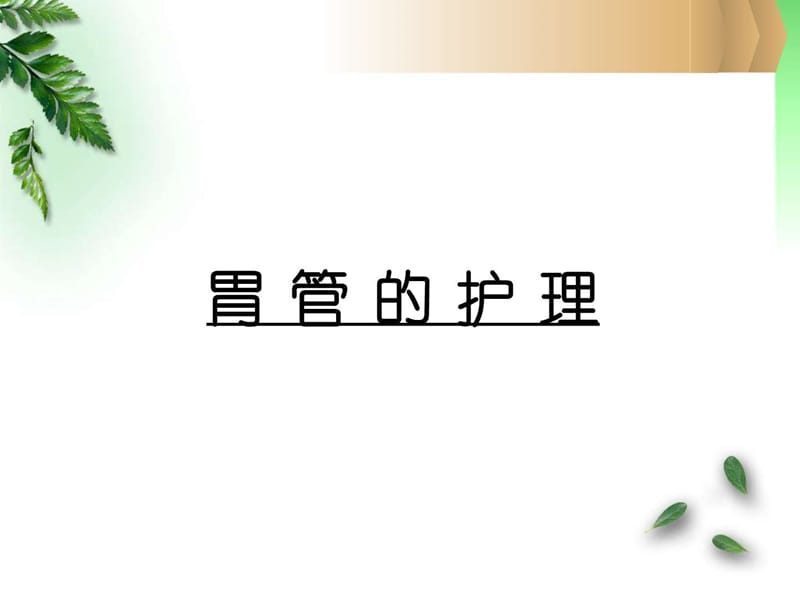 各类导管的护理.ppt_第3页