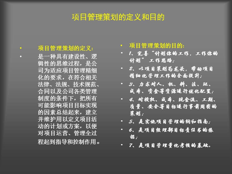 项目管理策划是公司生存和发展的内在动力需要.ppt_第2页