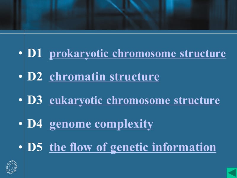 大肠杆菌基因组为双链环状的DNA分子.ppt_第2页