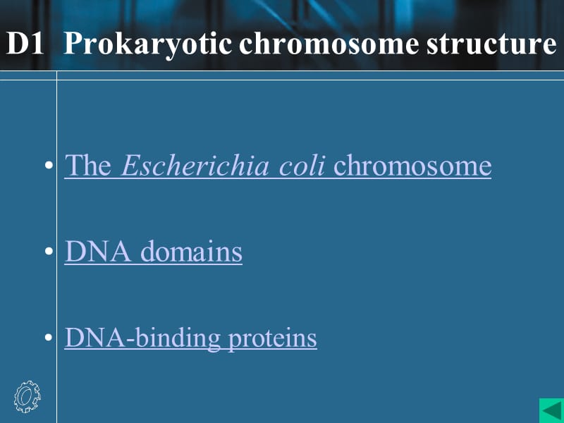 大肠杆菌基因组为双链环状的DNA分子.ppt_第3页