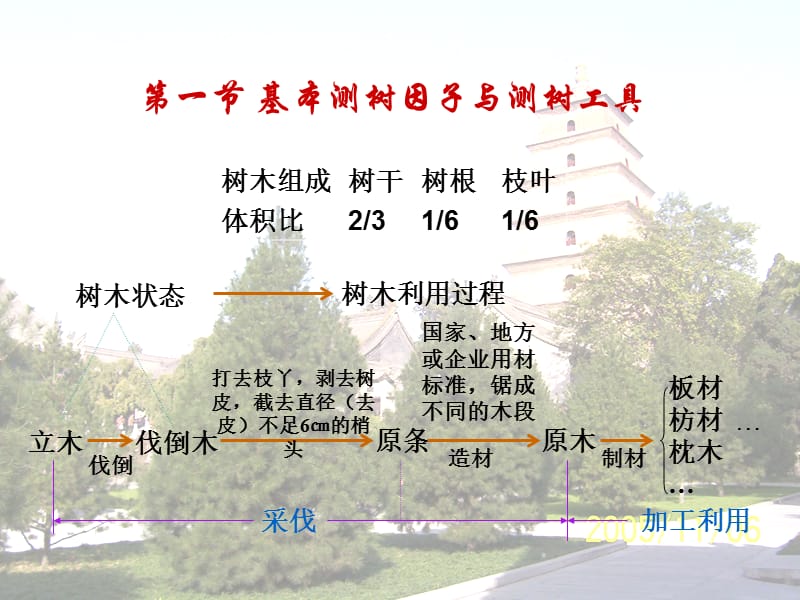 第一章单株树木材积测定.ppt_第3页