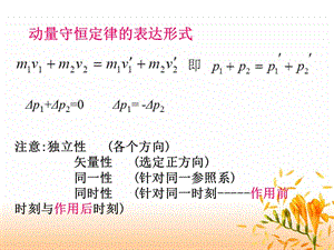 第五节碰撞中的动量守恒pch.ppt