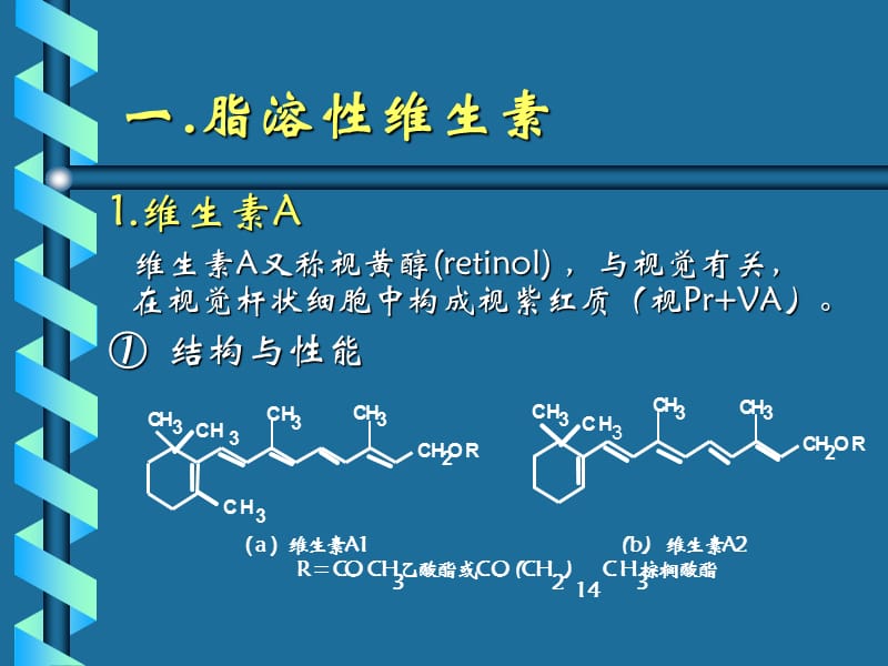 第五章维生素和矿物质.ppt_第3页