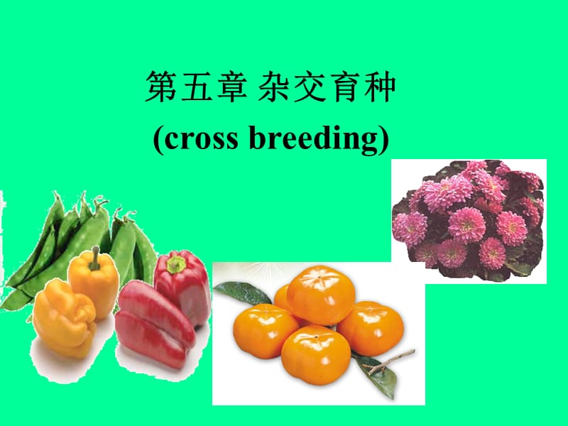 第五章杂交育种crossbreeding.ppt_第1页