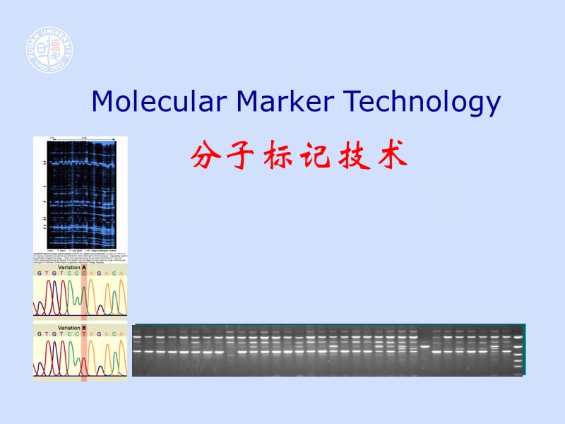 分子标记技术20091ppt课件.ppt_第1页