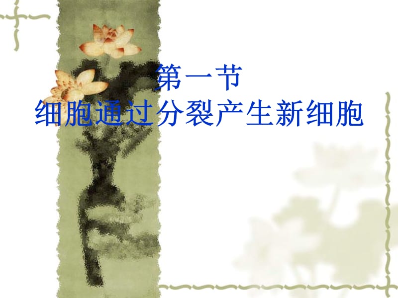 第一节细胞通过分裂产生新细胞.ppt_第1页