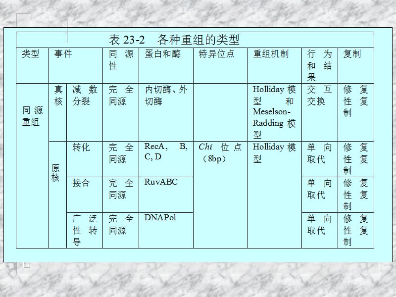 第二十三章重组和转座.ppt_第2页