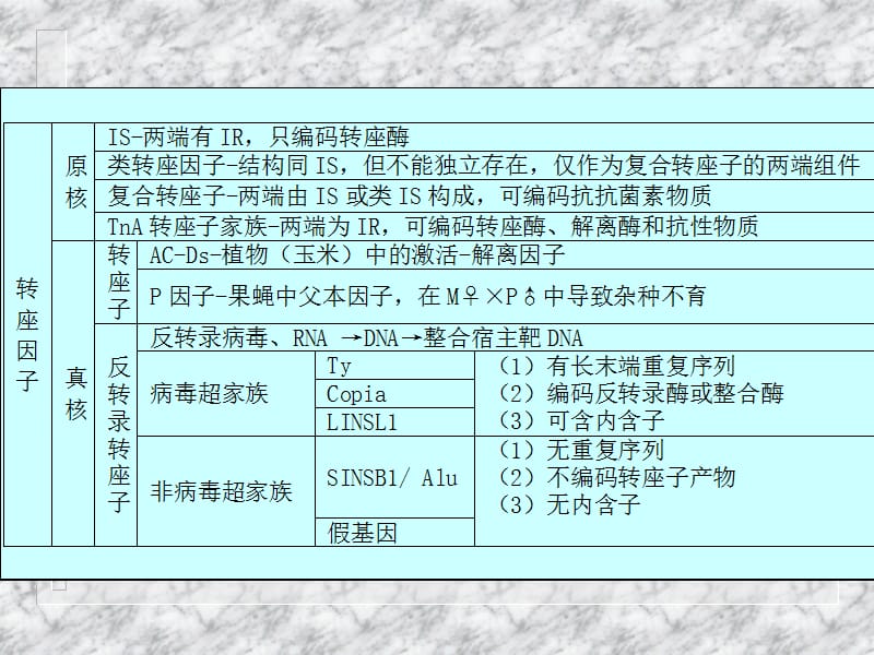 第二十三章重组和转座.ppt_第3页