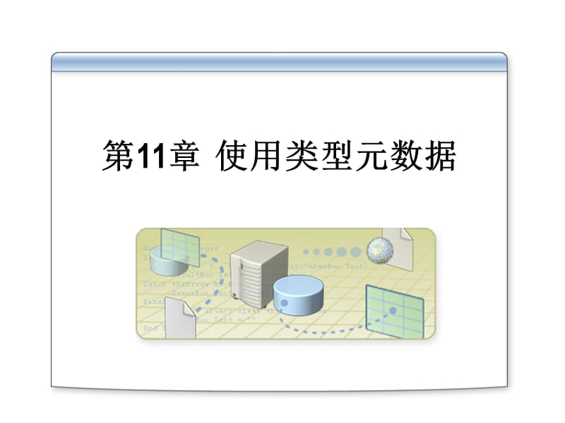 第11章使用类型元数据.ppt_第1页