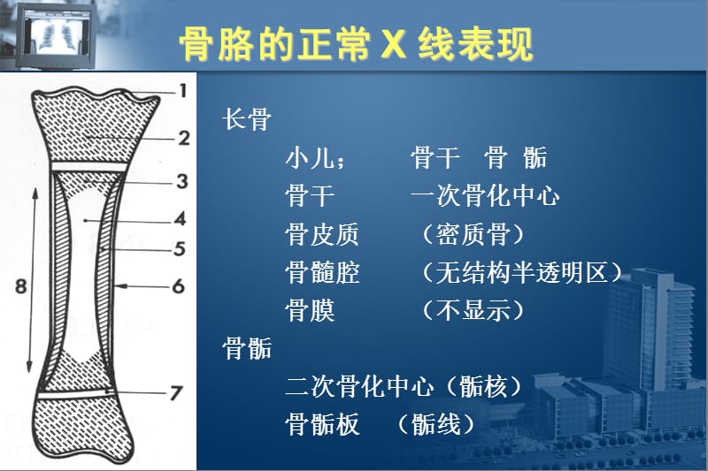 骨关节_解剖.ppt_第1页