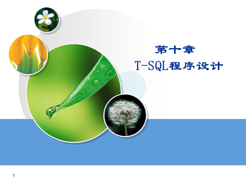 第十章T-SQL程序设计.ppt_第1页