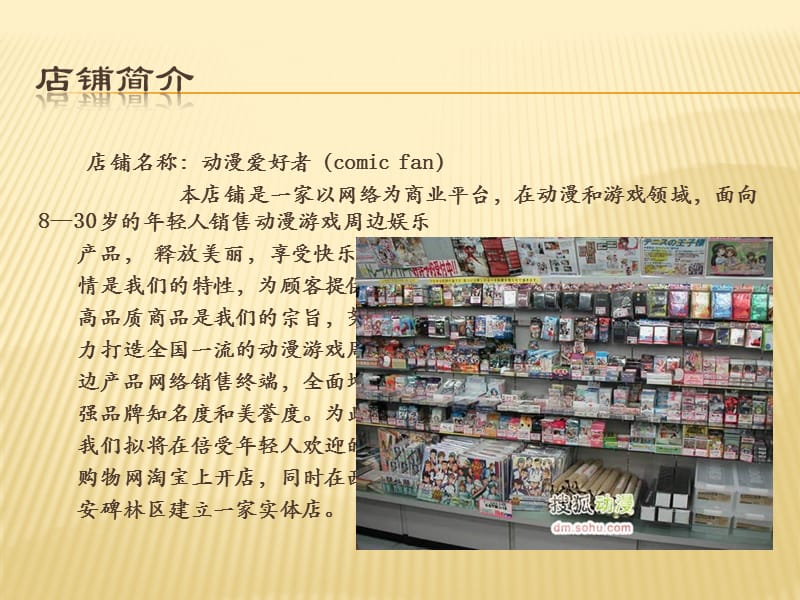 动漫周边.ppt_第2页