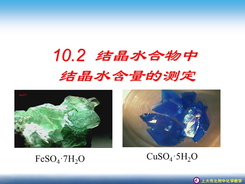 第十章学习几种定量测定方法.ppt_第2页