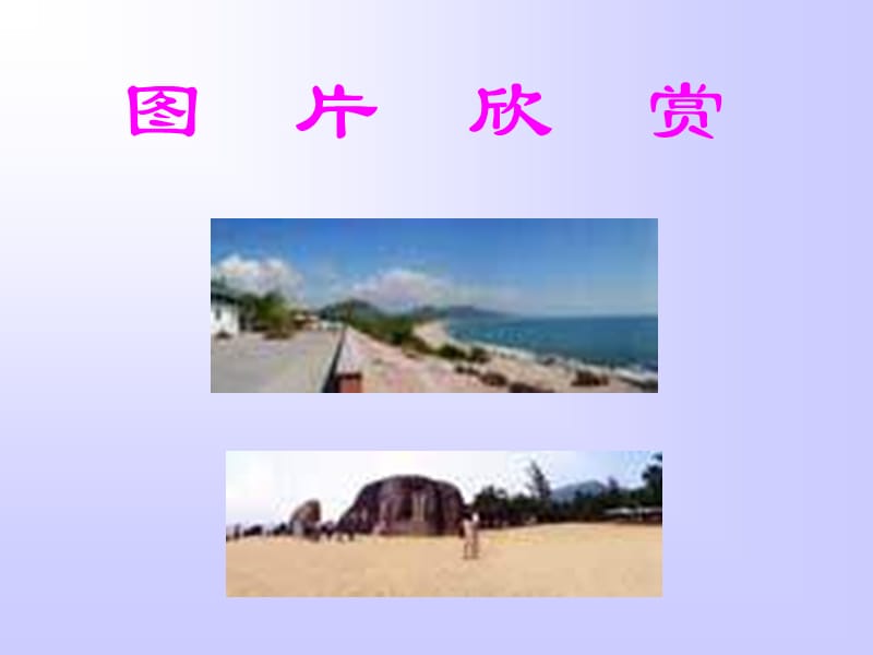 富饶的西沙群岛10.ppt_第3页