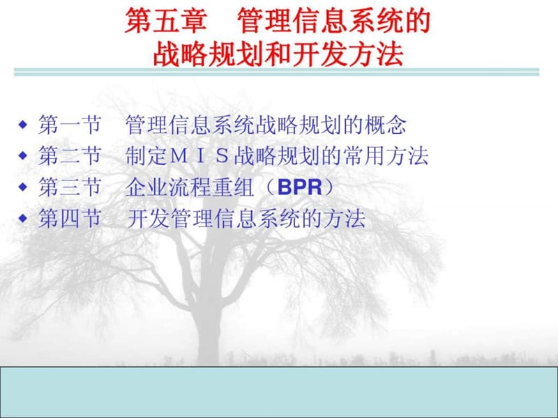 管理信息系统的战略规划和开发方法.ppt_第1页