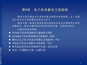 课件第9章电子政务解决方案案例.PPT