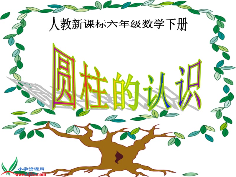 发展同学们的空间观念经历探索圆柱基本特征的过程.ppt_第1页