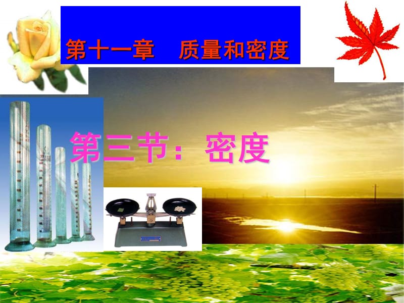 第十一部分质量和密度.ppt_第1页