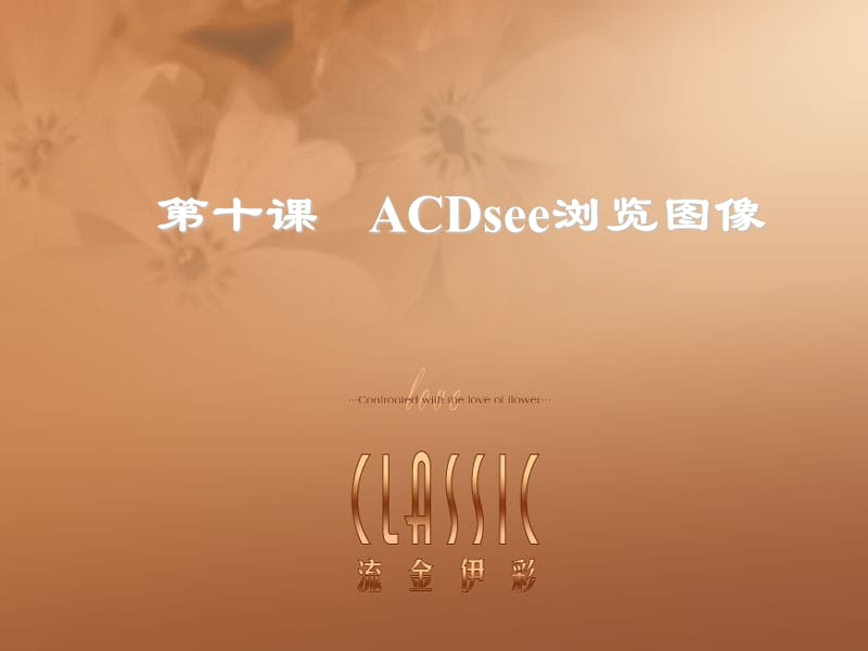 第十课ACDsee浏览图像.ppt_第1页