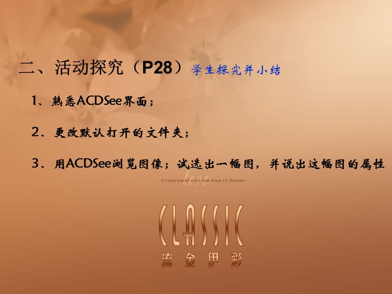 第十课ACDsee浏览图像.ppt_第3页