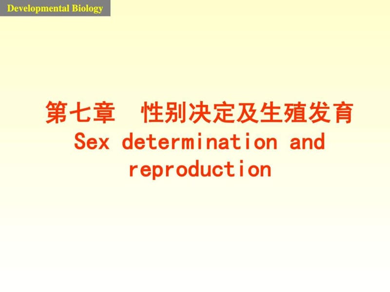 发育生物学课件7 sex.ppt_第1页