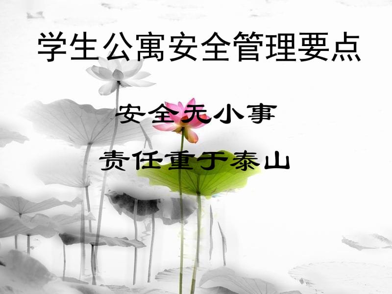 学生公寓安全管理要点.ppt_第1页