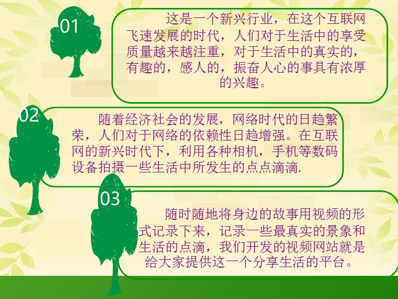 乐活视频网站LOHAS.ppt_第2页