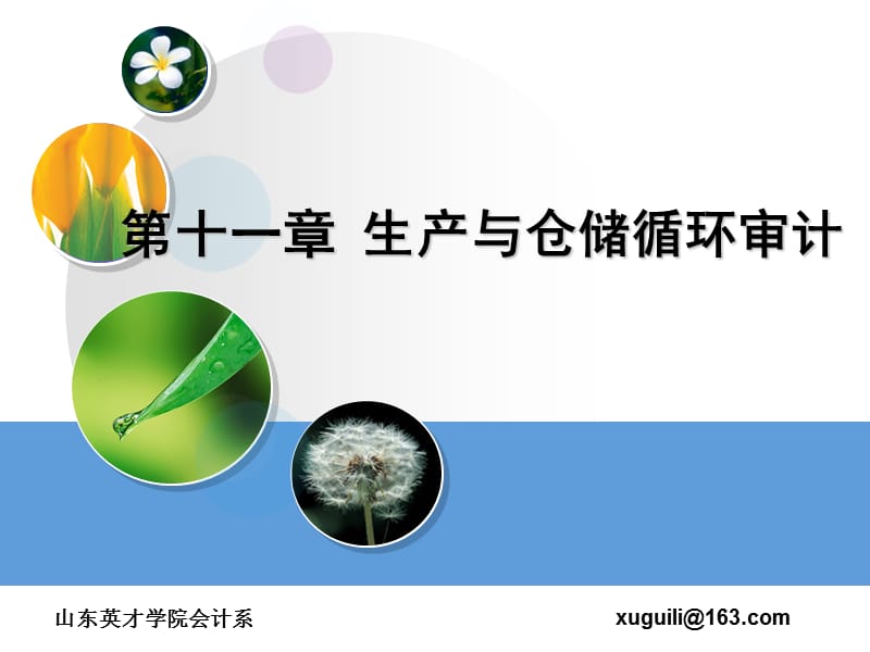 生产与仓储循环审计.ppt_第1页