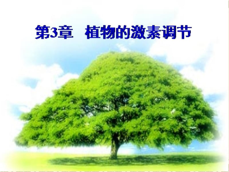 第一部分植物生长素的发现.ppt_第1页