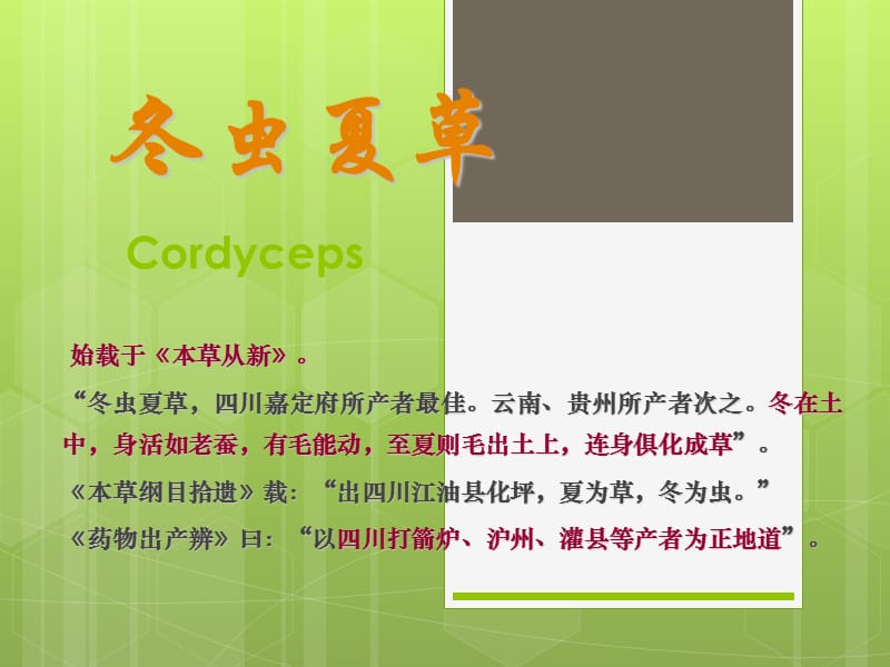 冬虫夏草的食用方法.ppt_第2页