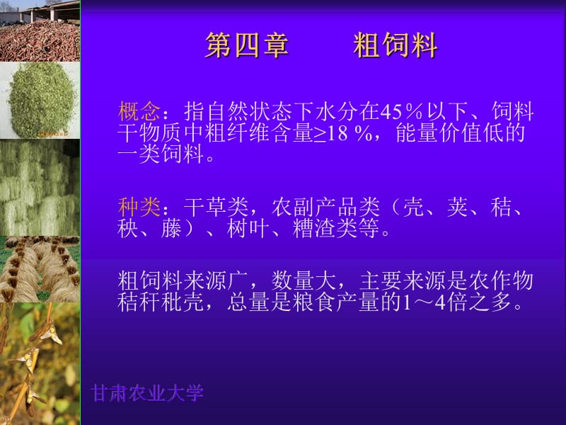 第四粗饲料.ppt_第1页