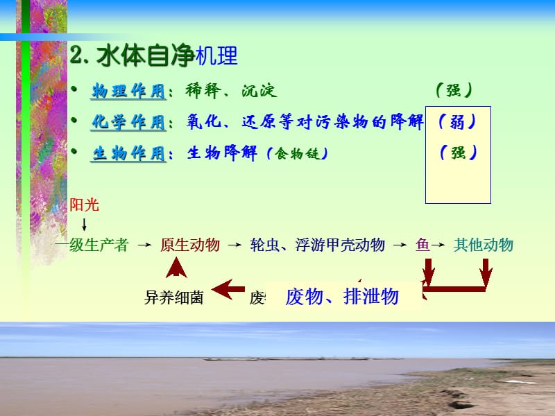 第十三章水体自净selfpurification.ppt_第3页