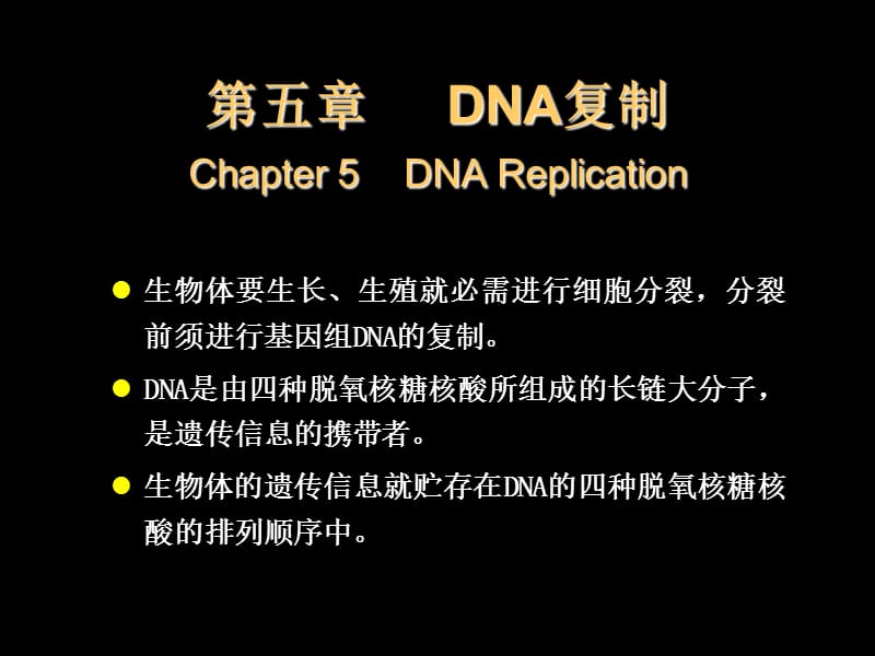 第五章DNA复制.ppt_第1页