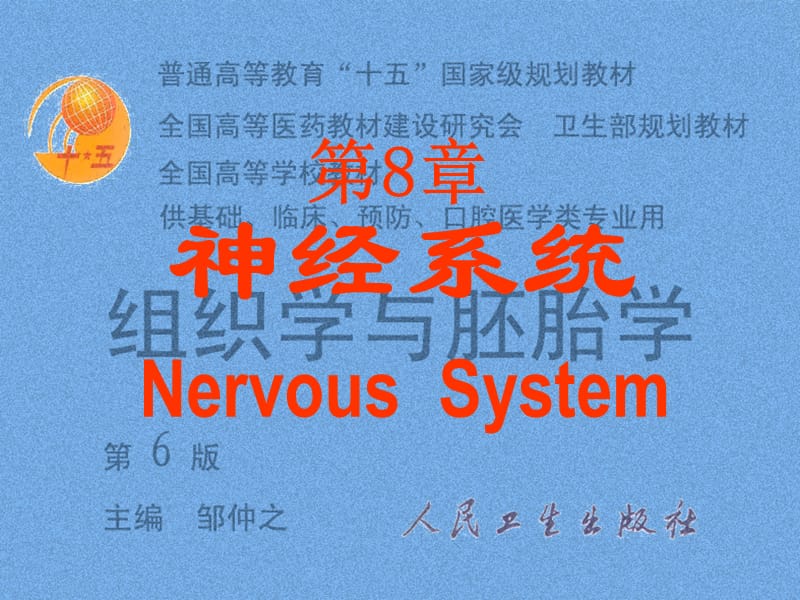 第8章神经系统ppt课件.ppt_第1页