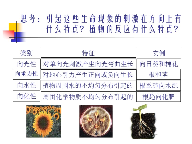 第四生命活动的调.ppt_第3页