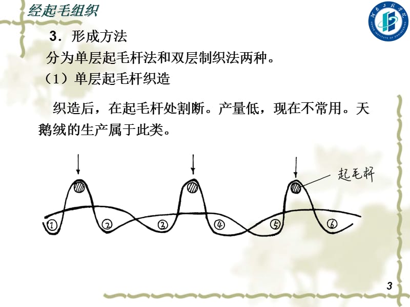 第五节经起毛组织.ppt_第3页