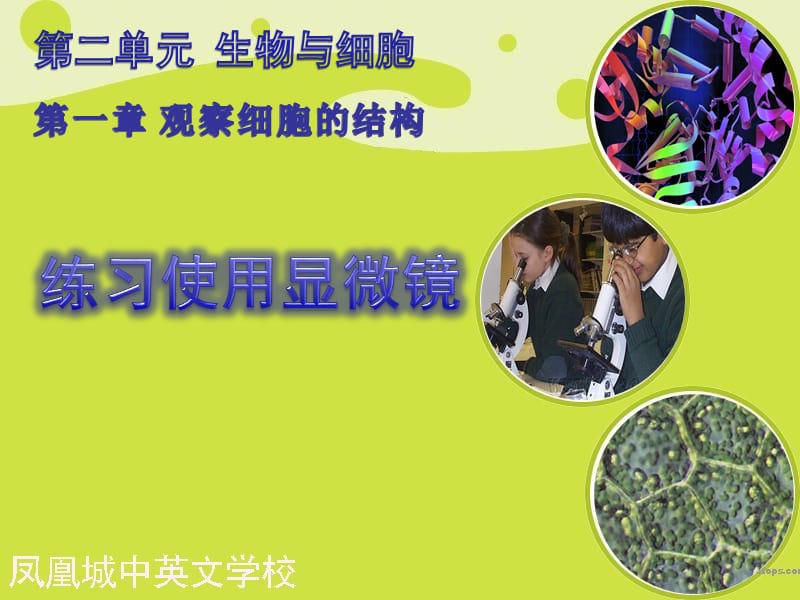 (七年级生物上册第二单元_第一章第一节《练习使用显微镜》PPT课件.ppt_第1页