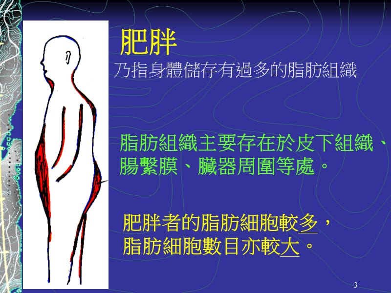 肥胖症与体重治疗.ppt_第3页