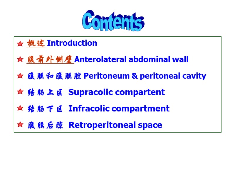 腹部局部解剖 ppt课件.ppt_第3页