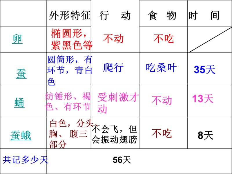 教科版科学三下蚕的生命周期课件.ppt_第2页