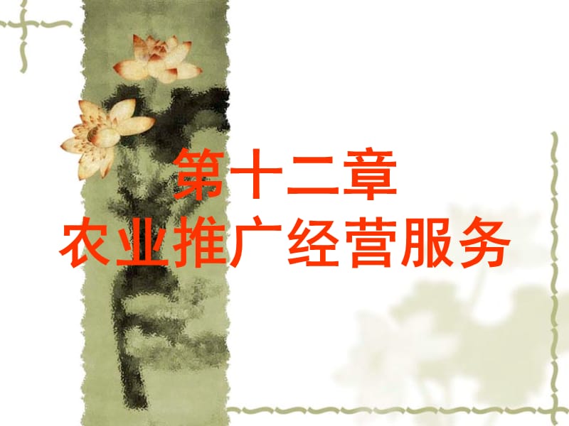 第十二章农业推广经营服务.ppt_第1页