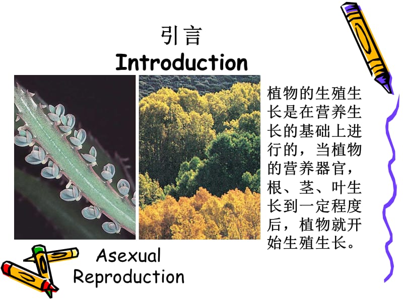 第八章植物的成花生理和生殖生理.ppt_第2页